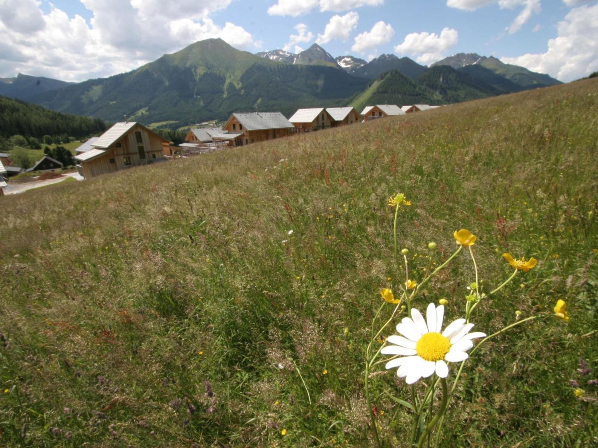 Willa Nice Chalet In Hohentauern Styria With Sauna Zewnętrze zdjęcie